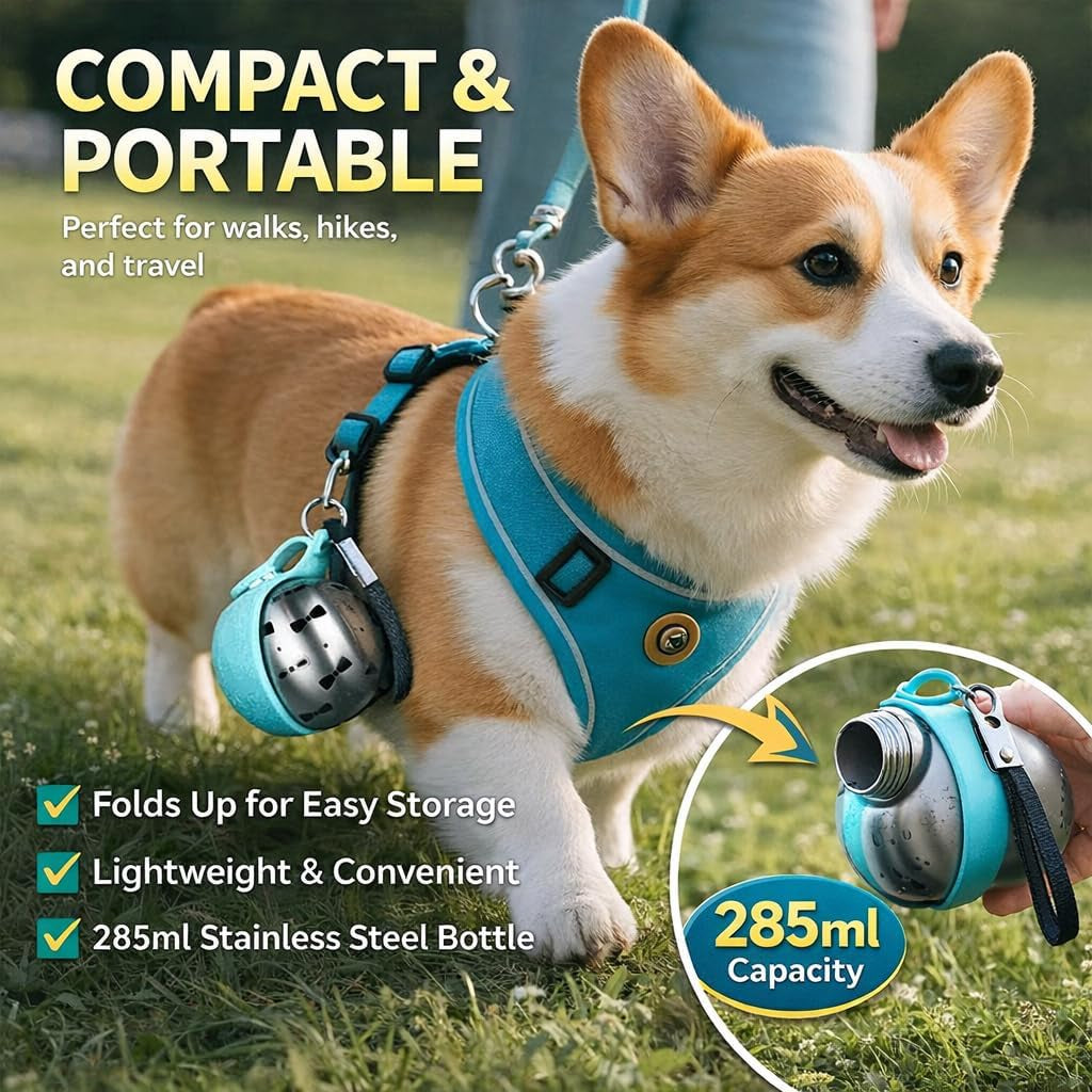 Portable Dog Water Ball, 2-In-1 Foldable Pet Water Bottle, Large-Capacity 304 Stainless Steel Cup with Foldable Silicone Bowl, Leak-Proof & Travel-Friendly, Suitable for Walks and Hiking (Blue1)